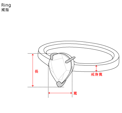 Ring 戒指