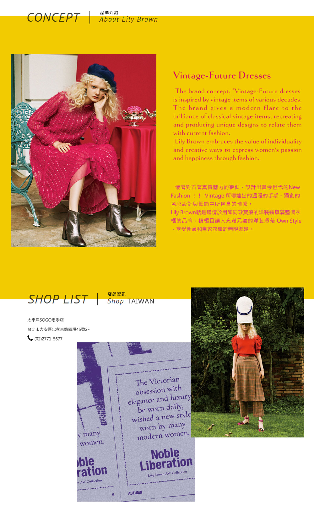 Lily Brown品牌介紹